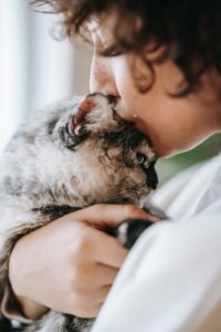 close shot of woman kissing cat's forehead