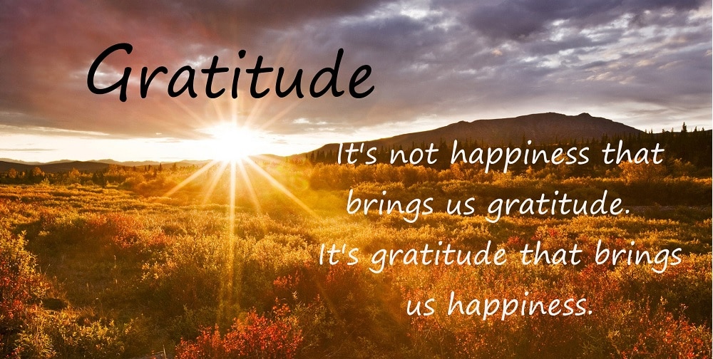 gratitude brings us happiness
